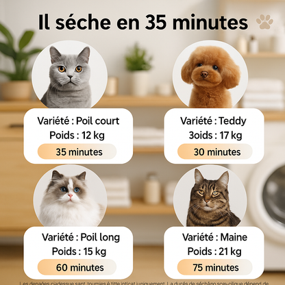 Boîte de Séchage Intelligente pour Animaux, Séchoir à Contrôle Automatique de la Température, Stérilisation à l'Eau, Anti-Froid, Équipement de Beauté, Chats et Chiens