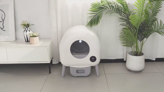 litiere automatique pour chat