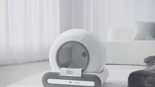 litiere auto nettoyante pour chat