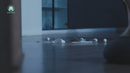 Litière automatique pour chat